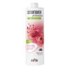 Itely Hairfashion CONDITIONER PROFESSIONAL POMEGRANATE