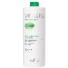 Itely Hairfashion SYNERGICARE CURL PERFECTION SHAMPOO
