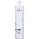 Envie DAILY SHINE CONDITIONER NO RISE Odżywka do włosów z ekstraktem z kokosa (500 ml) - Envie DAILY SHINE CONDITIONER NO RISE - envie-odzywka-balsam-do-wlosow-nawilzajacy-daily-shine-500ml.jpg