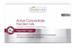 Bielenda Professional MESO MED PROGRAM ACTIVE CONCENTRATE PLANT STEM CELLS Aktywny koncentrat z roślinnymi komórkami macierzystymi  - BIELENDA PROFESSIONAL MESO MED PROGRAM ACTIVE CONCENTRATE PLANT STEM CELLS - phyto-cell-koncentrat-400x400.png