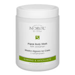 Norel (Dr Wilsz) ALGAE BODY MASK WITH CINNAMON Maska algowa na ciało z cynamonem (PN063) - Norel (Dr Wilsz) ALGAE BODY MASK WITH CINNAMON - pn063_maska_z_cynamonem_l.png