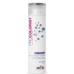 Itely Hairfashion PROCOLORIST SILVER SHAMPOO Szampon usuwający zażółcenia z siwych bądź rozjaśnianych włosów (250 ml) - Itely Hairfashion PROCOLORIST SILVER SHAMPOO - silver-shapoo200.jpg