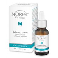 Norel (Dr Wilsz) COLLAGEN COCKTAIL Koktajl kolagenowy (PA011) - Norel (Dr Wilsz) COLLAGEN COCKTAIL - pa011.jpg