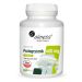 Aliness PODAGRYCZNIK 400 mg